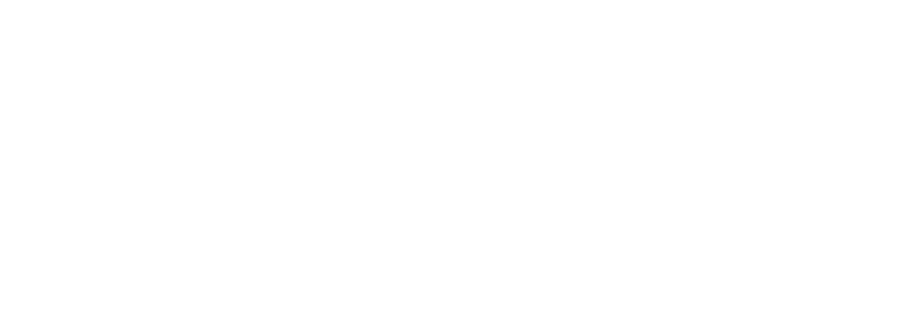Accidentología 360